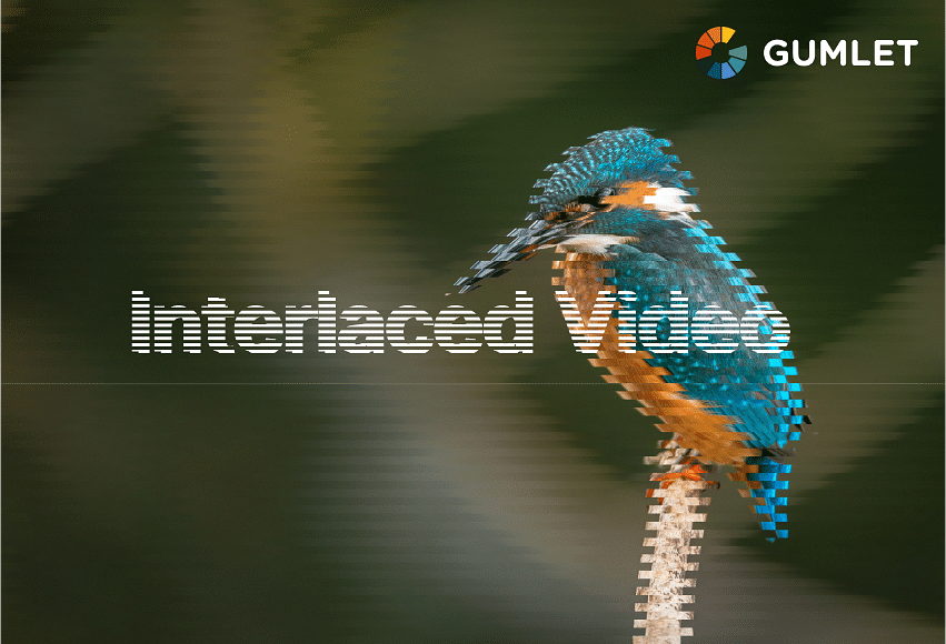 A Guide on Interlaced Video